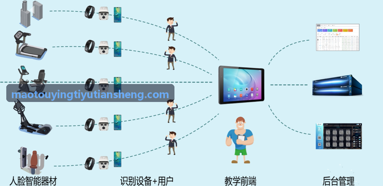 猫头鹰体育-俱乐部数字化消课与排课精细化管理